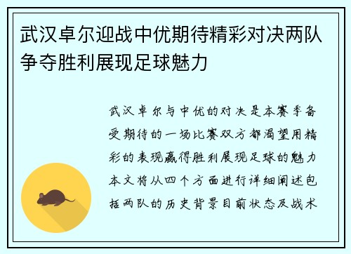 武汉卓尔迎战中优期待精彩对决两队争夺胜利展现足球魅力