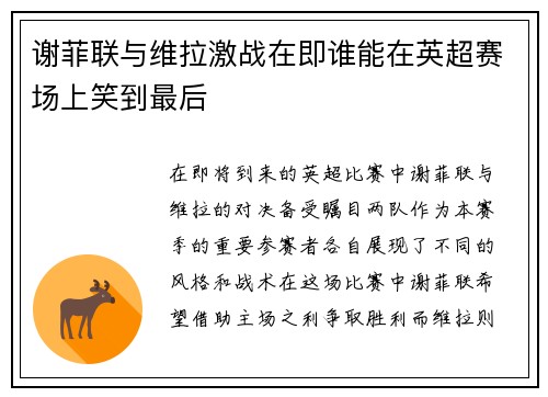 谢菲联与维拉激战在即谁能在英超赛场上笑到最后